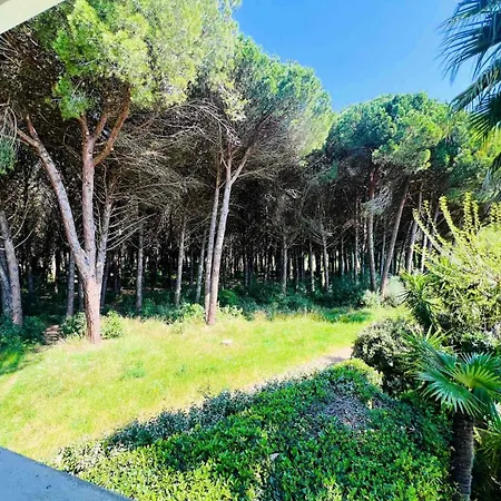 Pinede - De Au Calme Avec Espace Piscine Mae-0461 Villa *